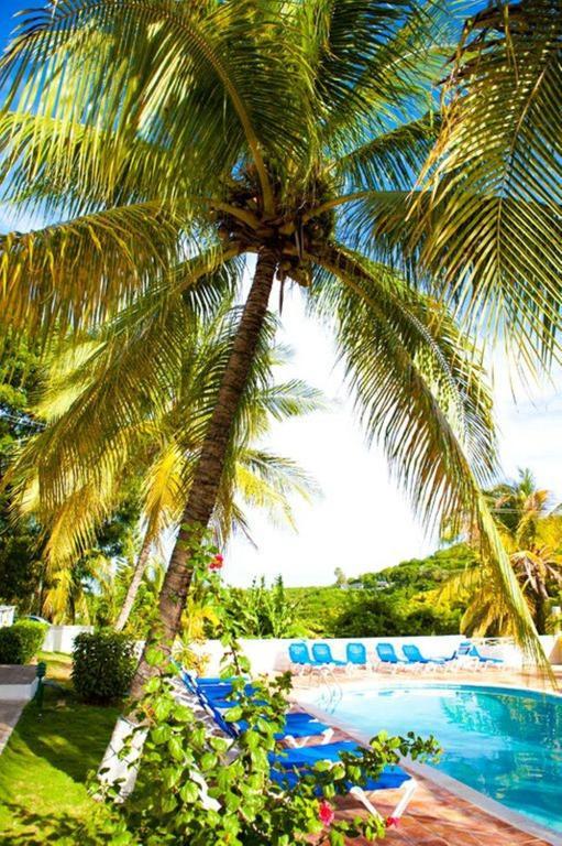 Dickenson Bay Cottages Cedar Grove 외부 사진